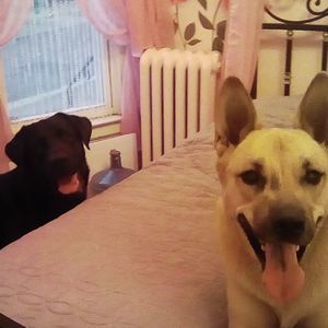 Meet your Posher, Jane